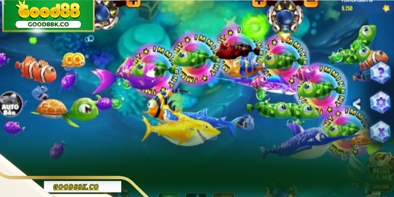 Điểm nhiều chưa chắc đã tương ứng giá trị cao.