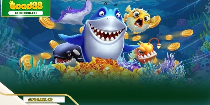 Đạn nên tăng theo nhịp, không theo cảm xúc.