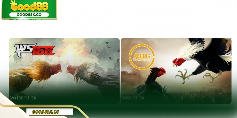 Đá gà là sảnh chơi siêu cấp tại Good88