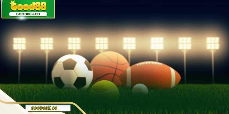 Để trải nghiệm hiệu quả, hội viên nên lưu ý một số điểm quan trọng