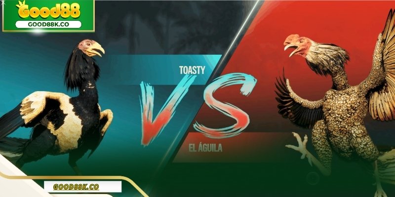 Trực Tiếp Đá Gà Và Cách Giữ Tỉnh Táo Khi Theo Dõi Trận Đấu